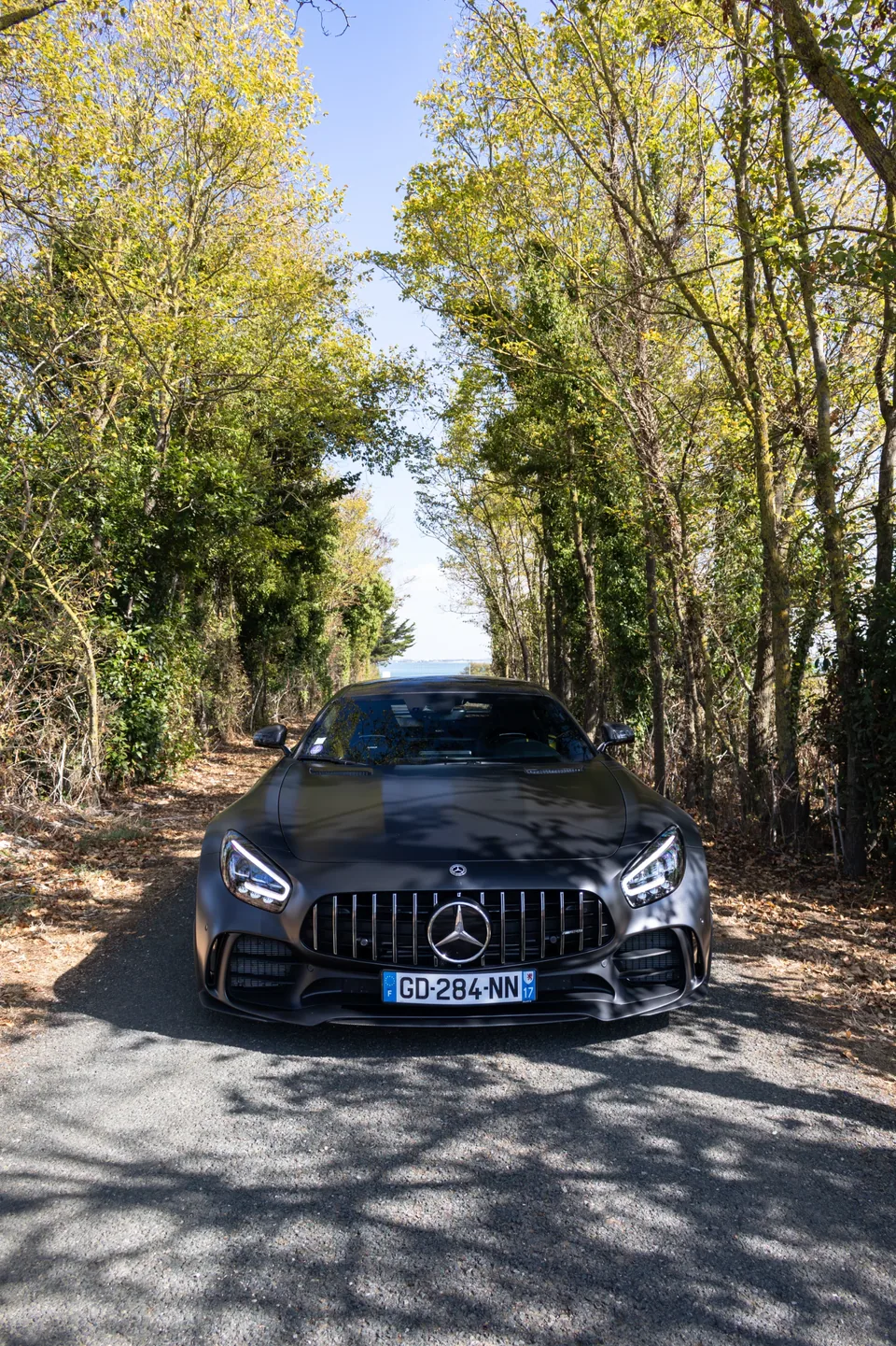 Mercedes AMG GT-R — photo 3
