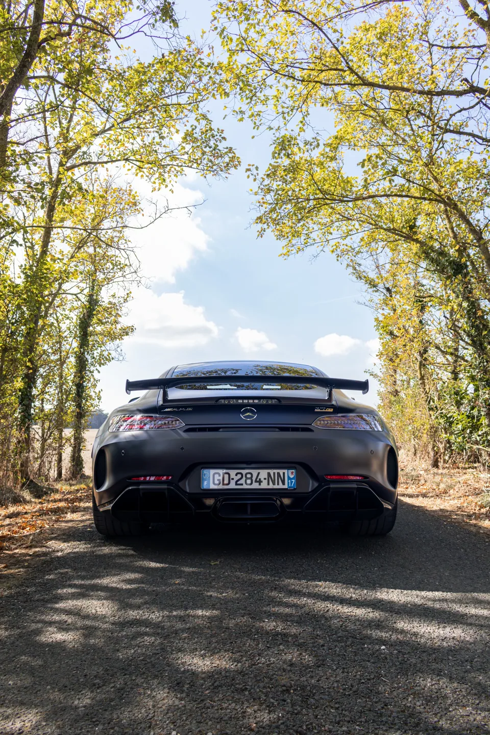 Mercedes AMG GT-R — photo 8
