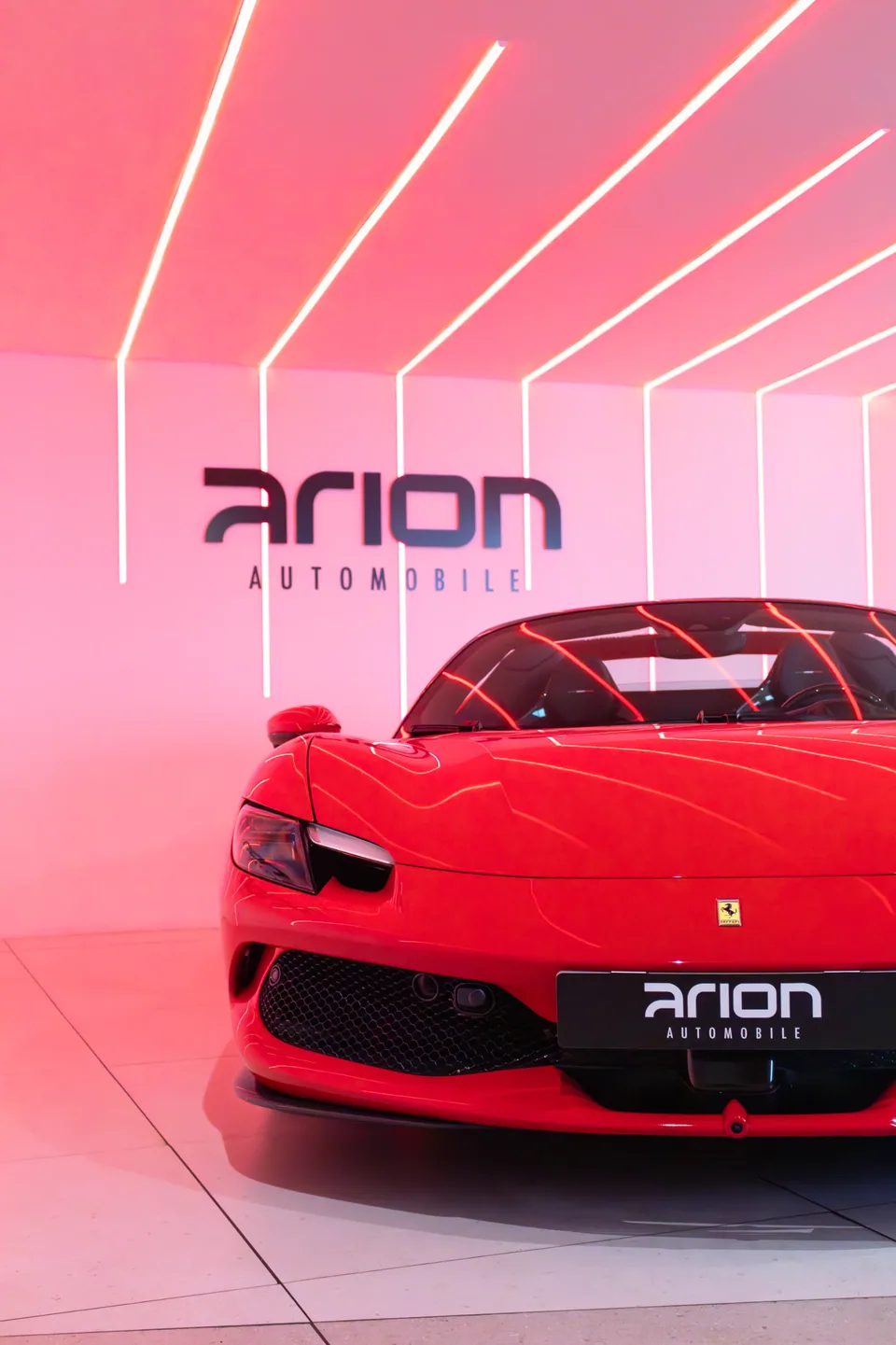 Visite chez Arion Automobile — photo 2